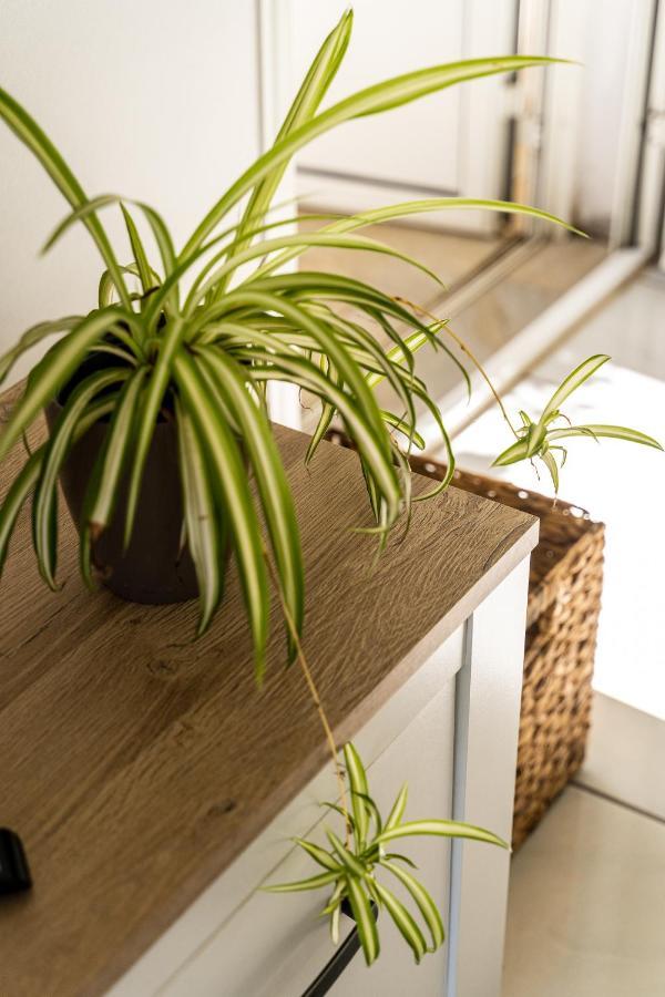 Villa Sainterne Le Bois de Nefles  Екстериор снимка